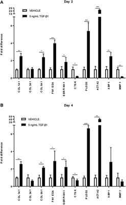 Macromolecular Crowding as a Tool to Screen Anti-fibrotic Drugs: The Scar-in-a-Jar System Revisited